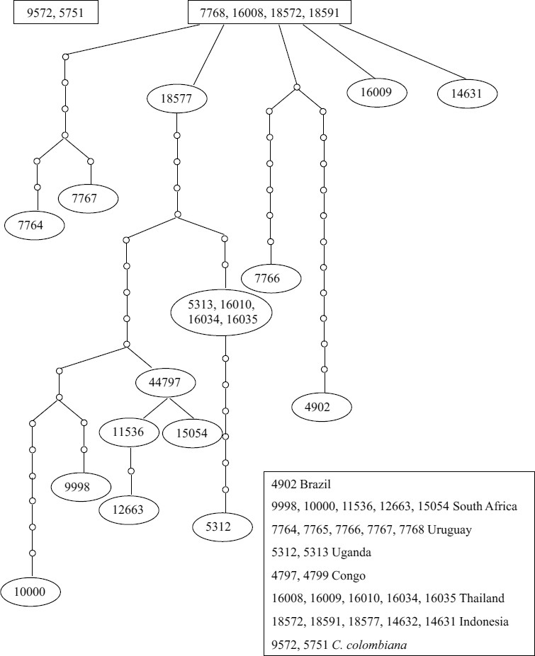 Fig. 4.