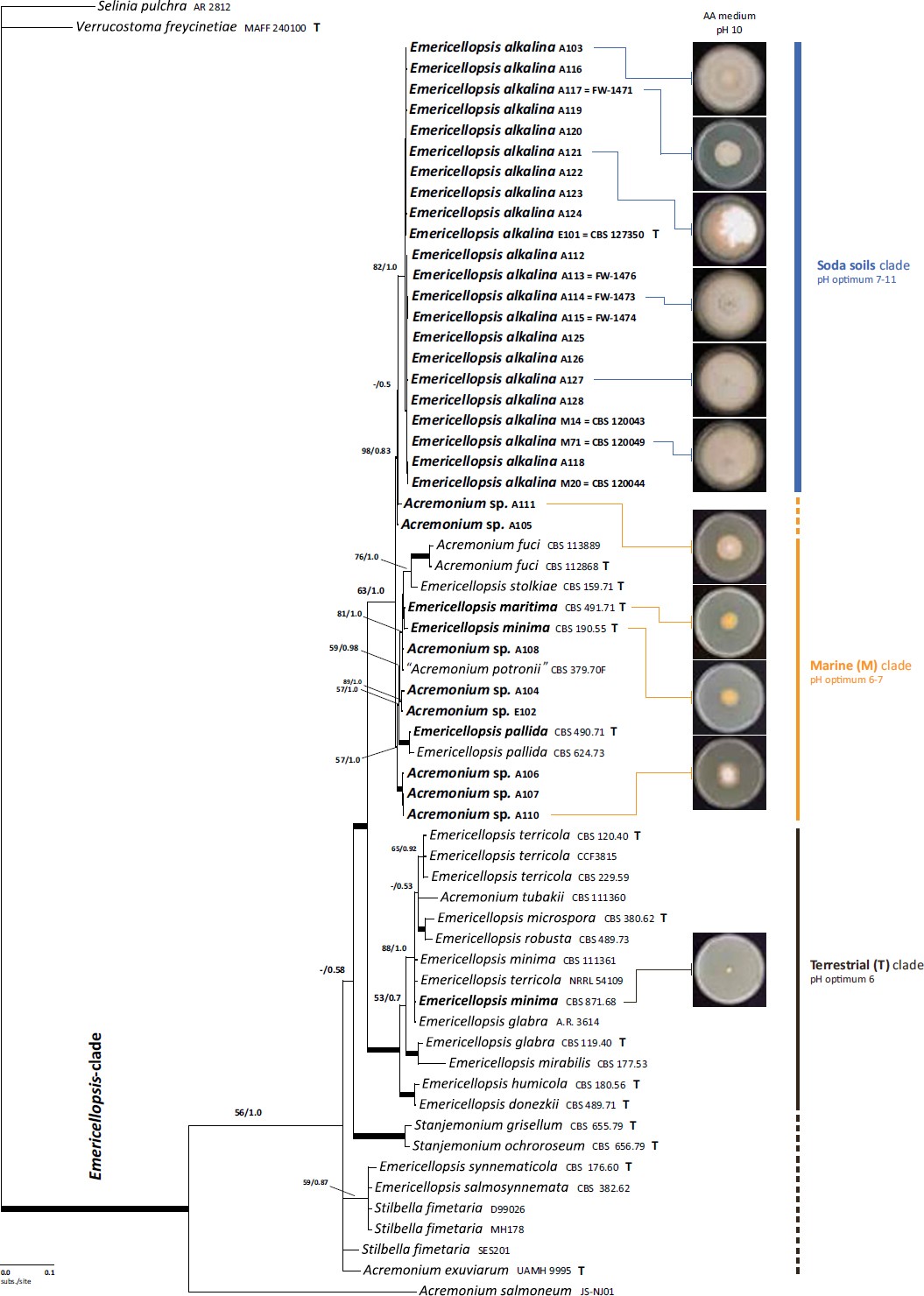 Fig. 2