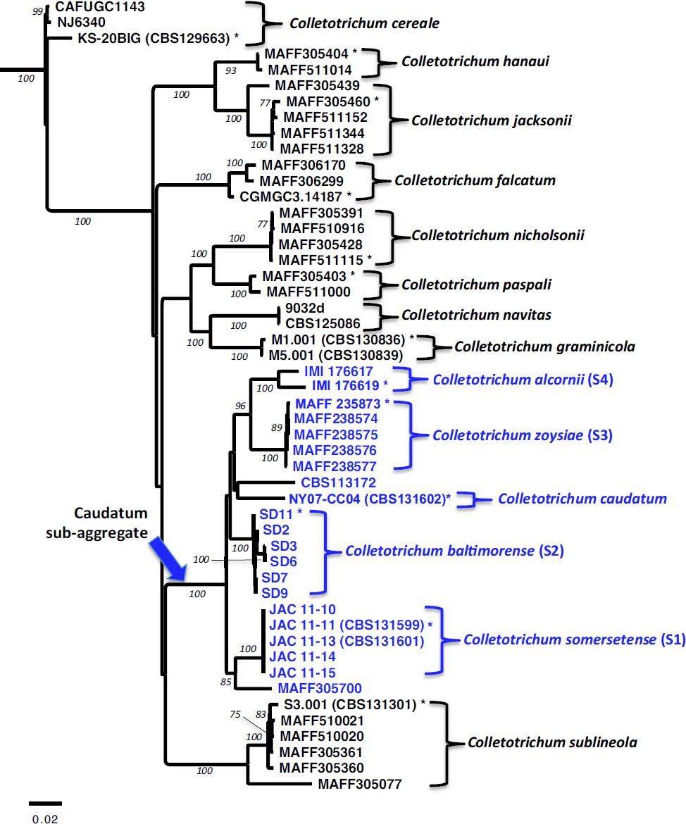 Fig. 3.