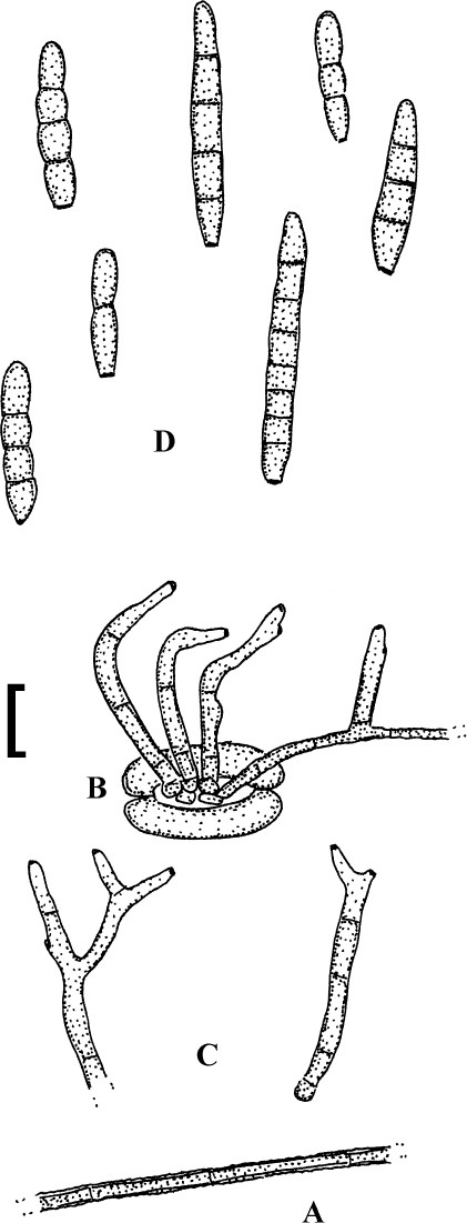 Fig. 169