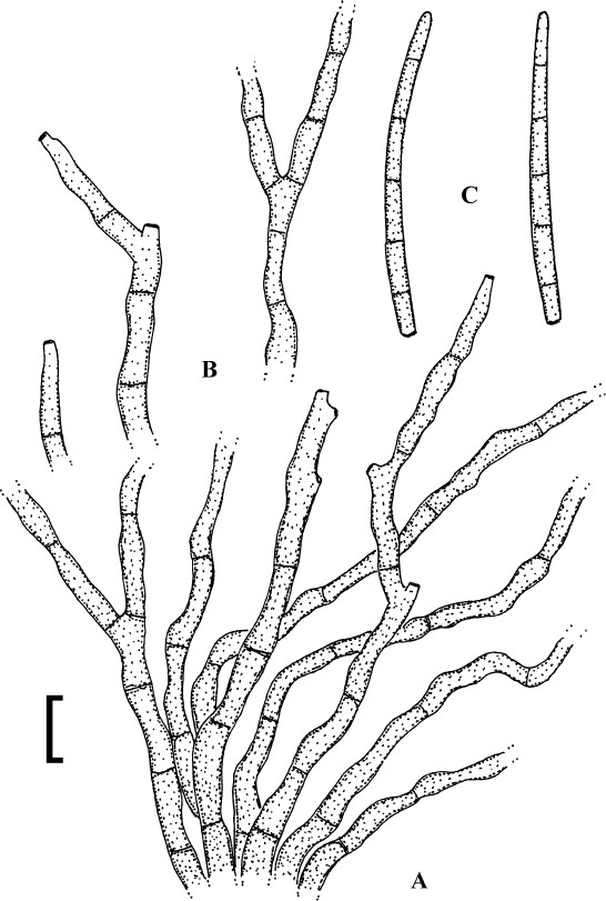 Fig. 60