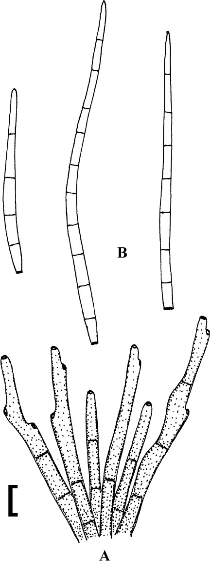 Fig. 83