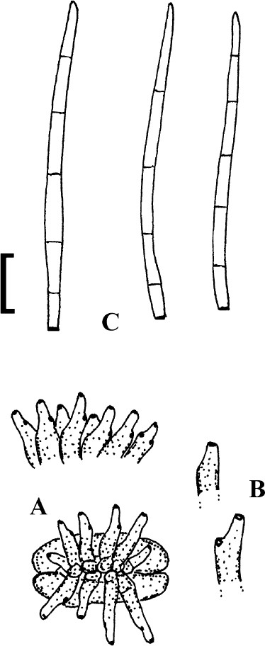 Fig. 85