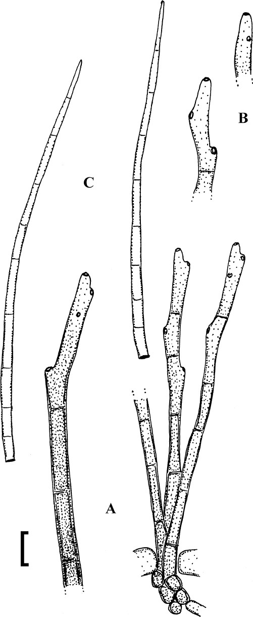 Fig. 88