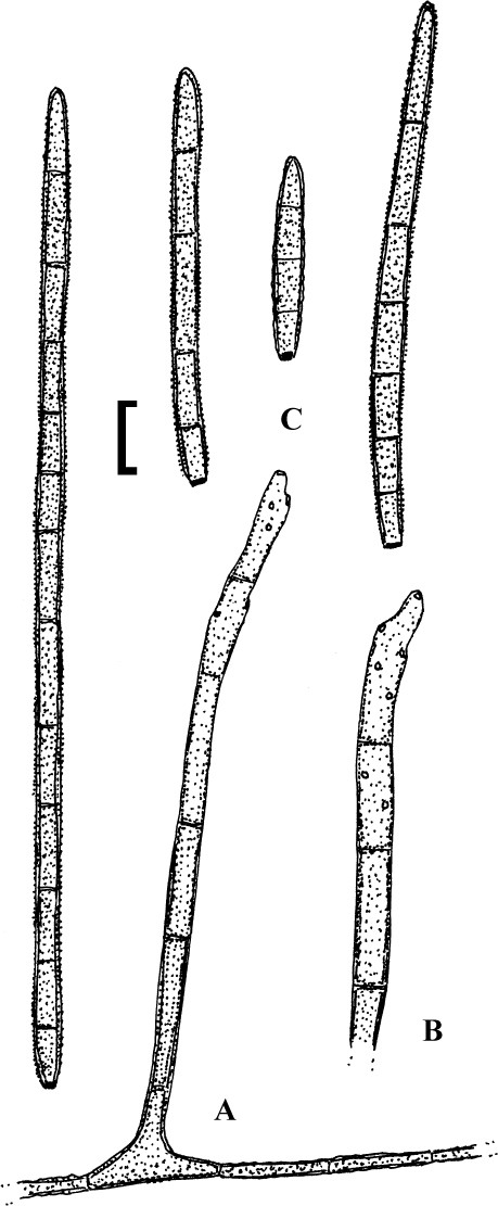 Fig. 90