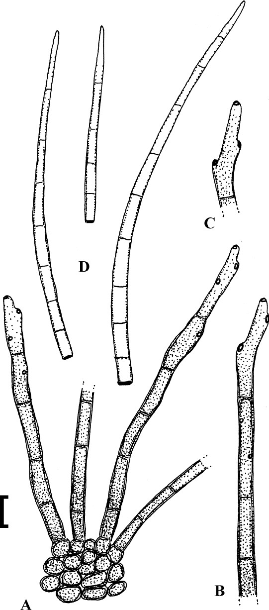 Fig. 93