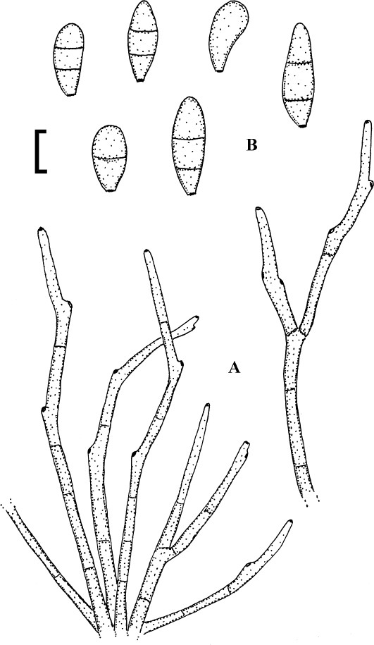 Fig. 98