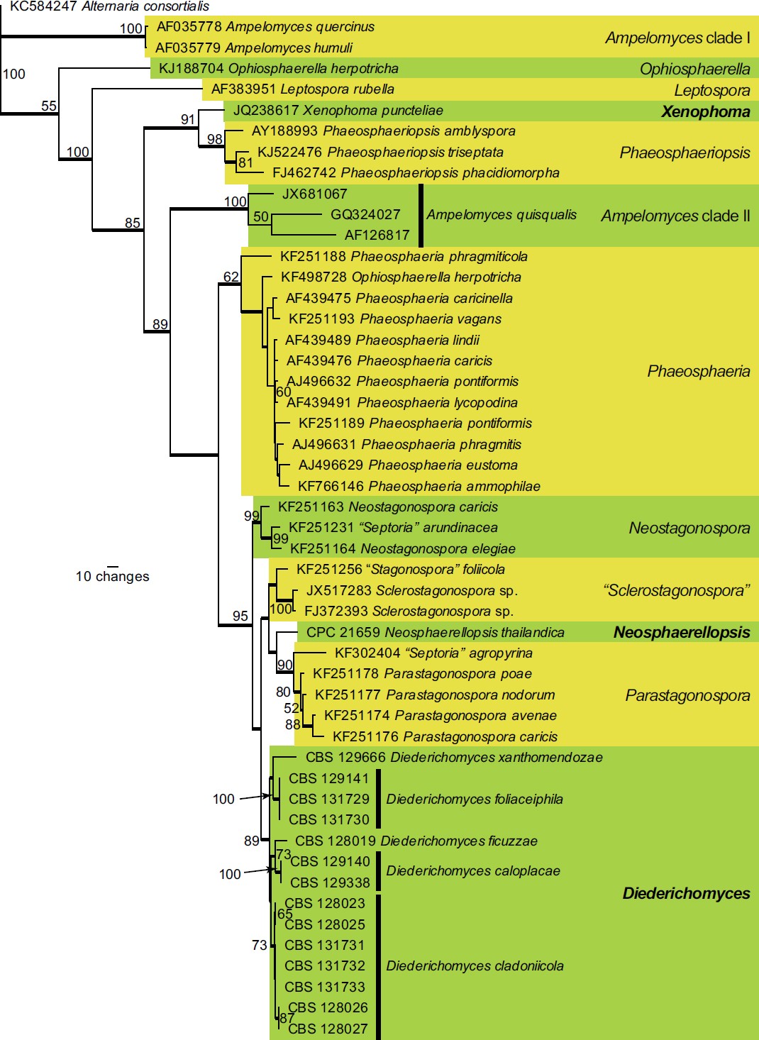 Fig. 2