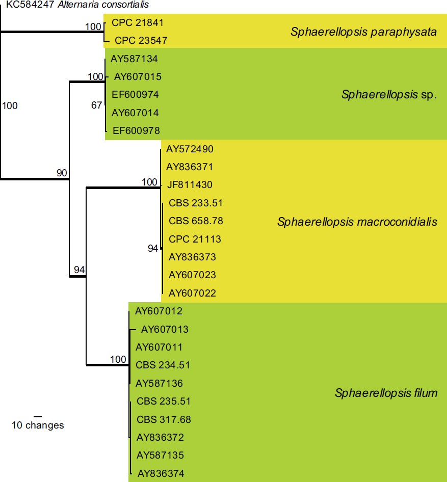 Fig. 4