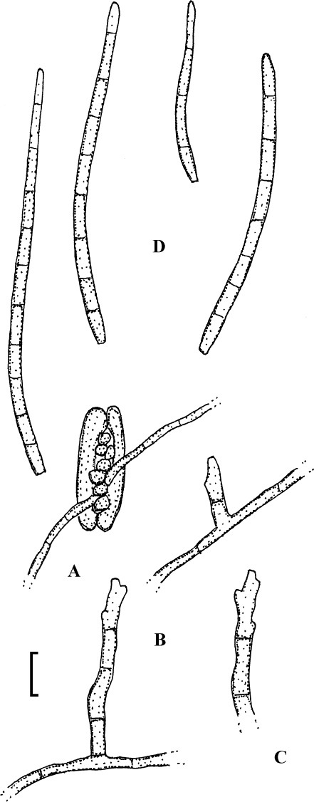 Fig. 60