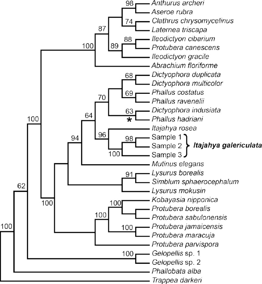 Fig. 2