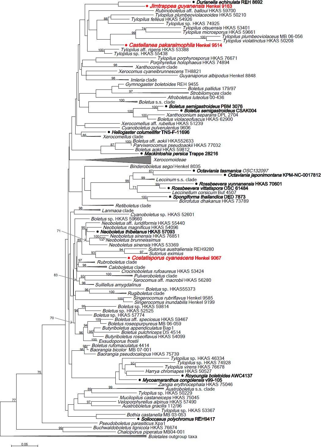 Fig. 1