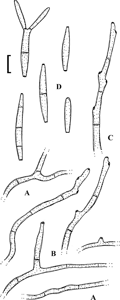 Fig. 75