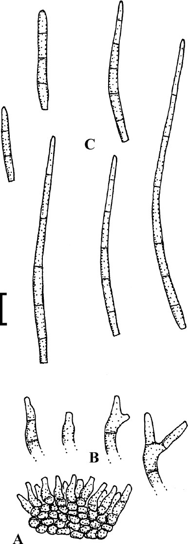 Fig. 83