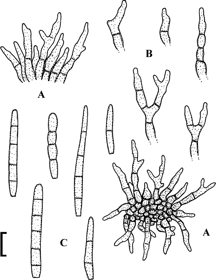 Fig. 90