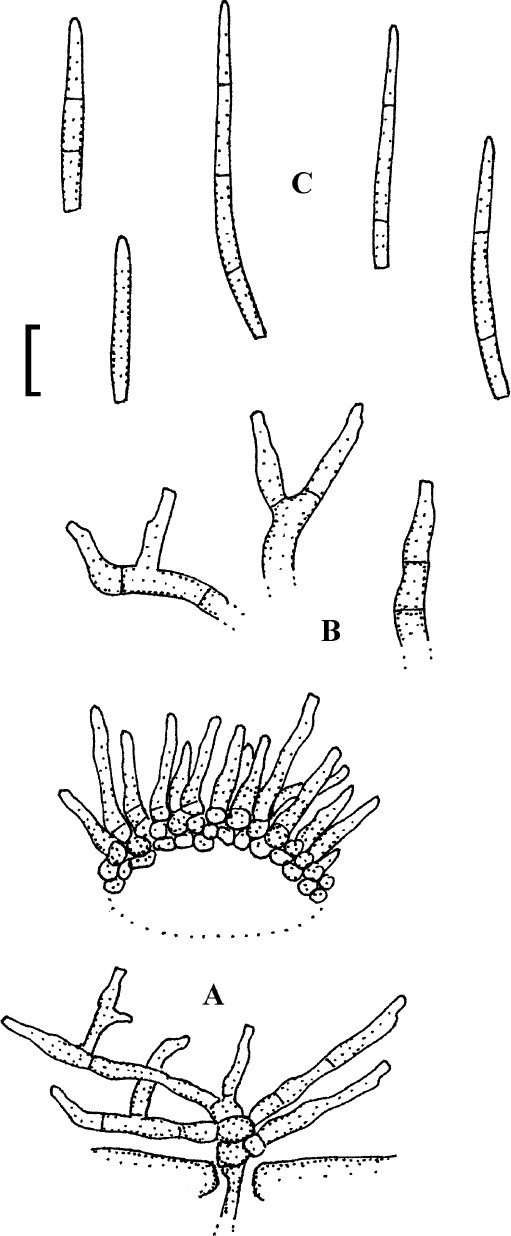 Fig. 46