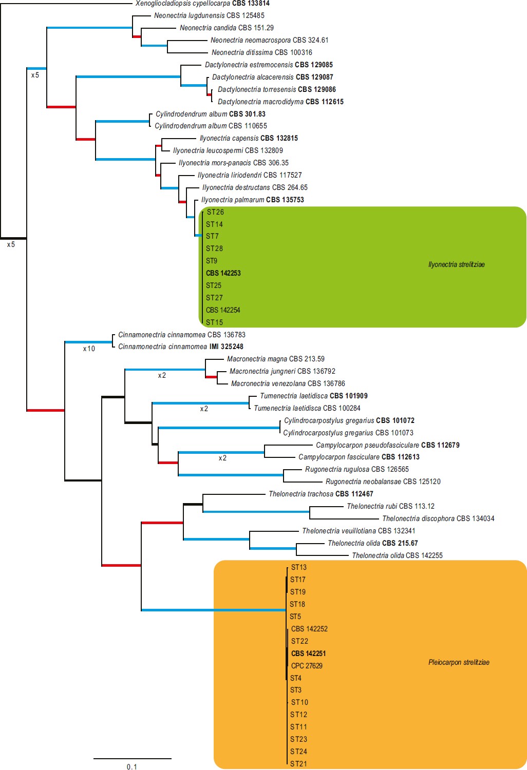 Fig. 2