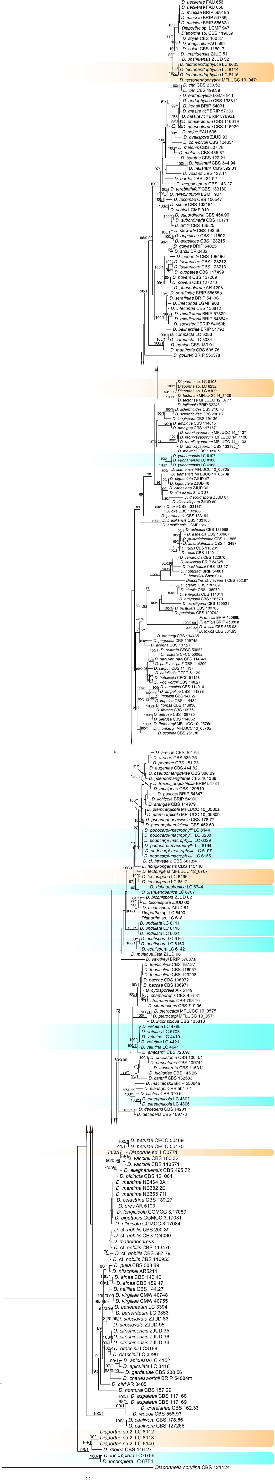 Fig. 2