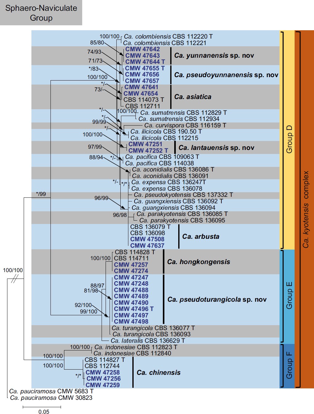 Fig. 2