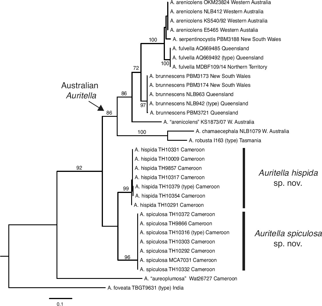 Fig. 2