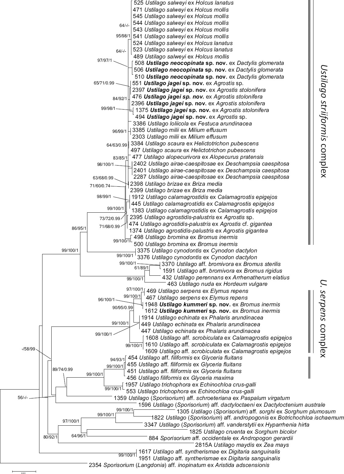 Fig. 1