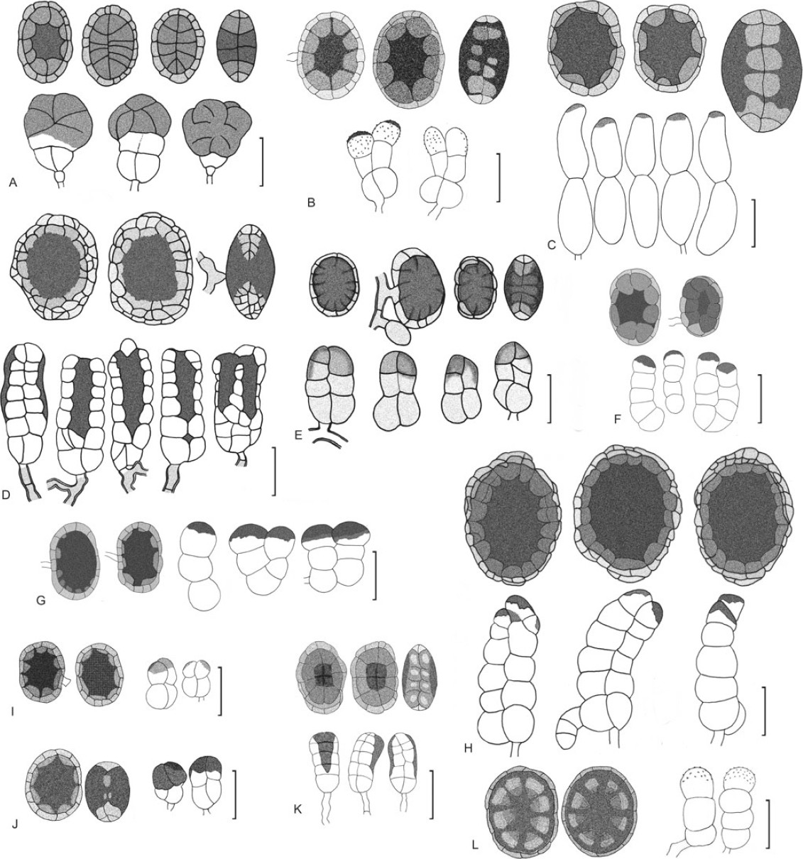 Fig. 16