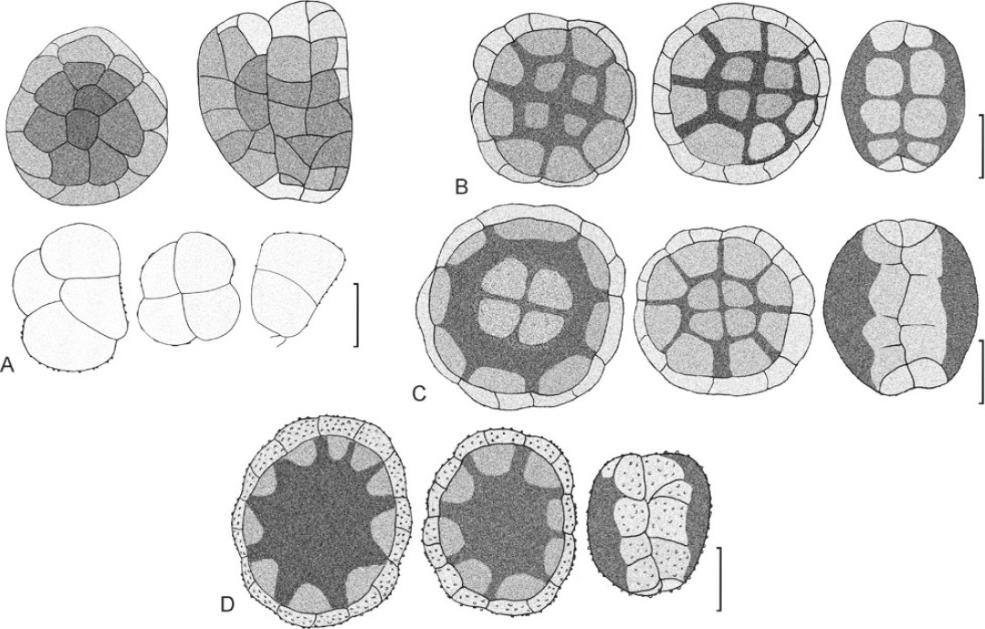 Fig. 17