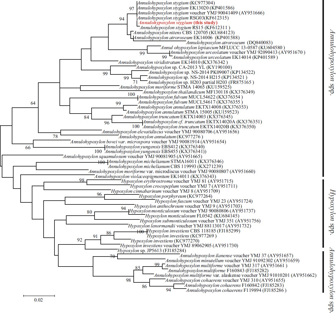 Fig. 1