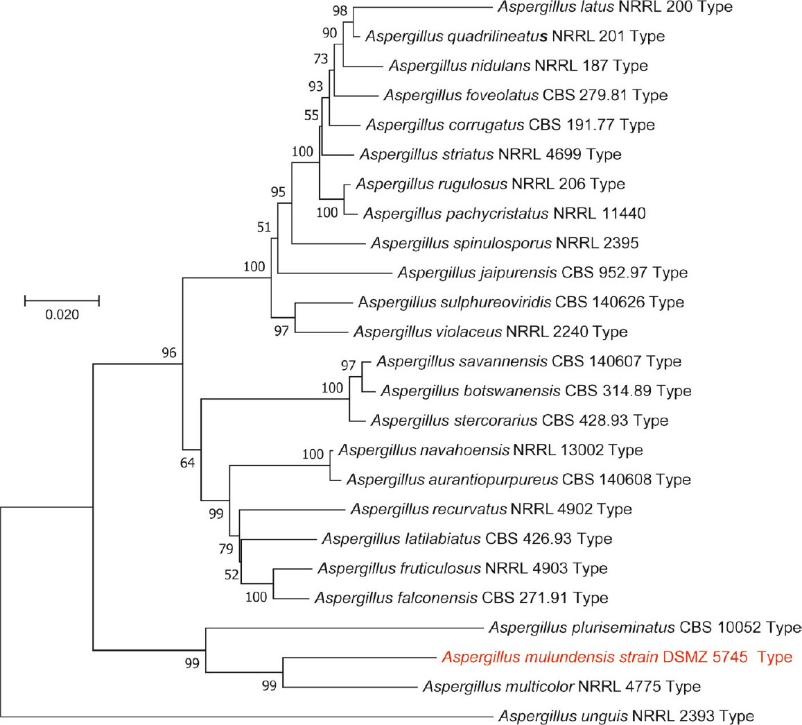 Fig. 3