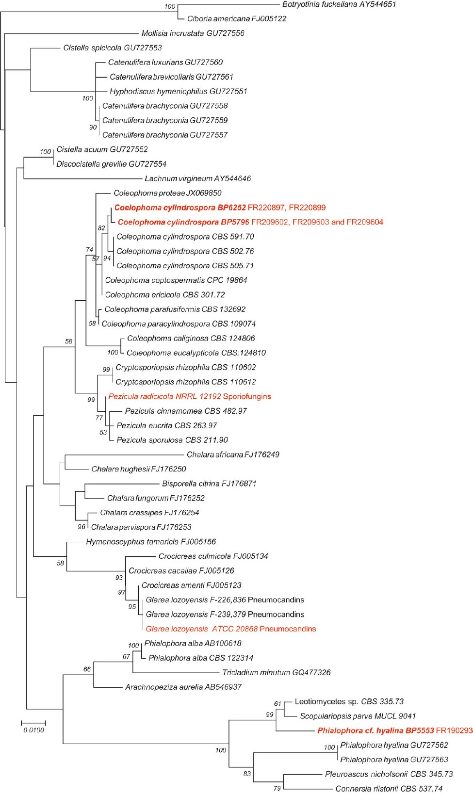 Fig. 7