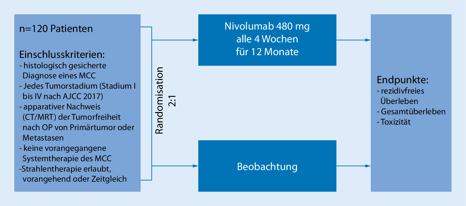 Figure 4 | Merkelzellkarzinom | SpringerLink