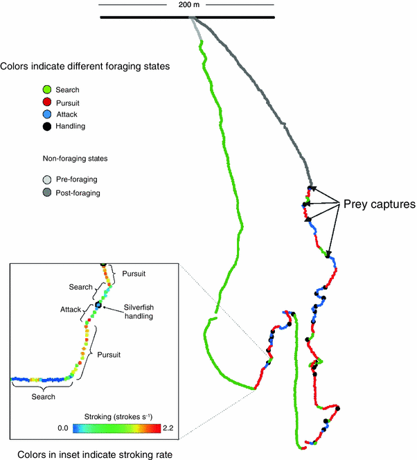 Figure 17 | A review of the multi-level adaptations for ... Figure 17 | A review of the multi-level adaptations for ...