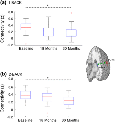 Figure 5 | Functional changes during working memory in ...