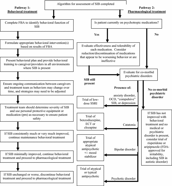 Self Injurious Behavior Treatment Strategies Quotes Home