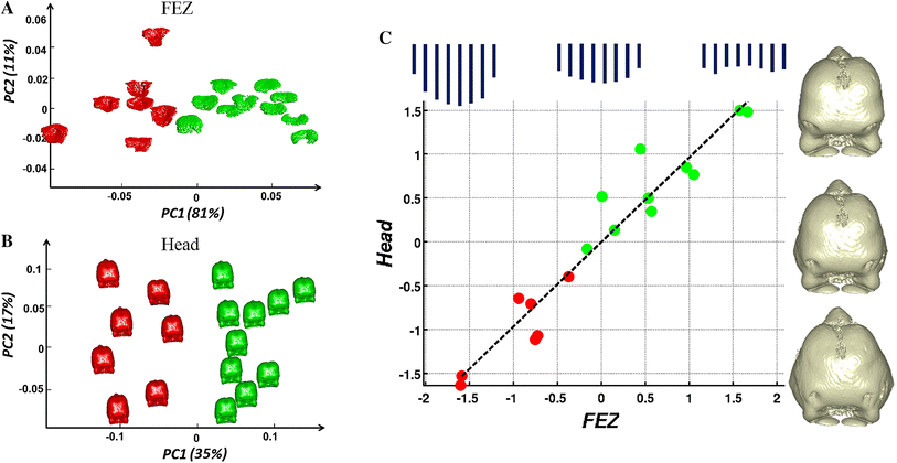 Check out all the awesome pixel art gifs on wifflegif. Figure 4 | Correlations Between the Morphology of Sonic ...