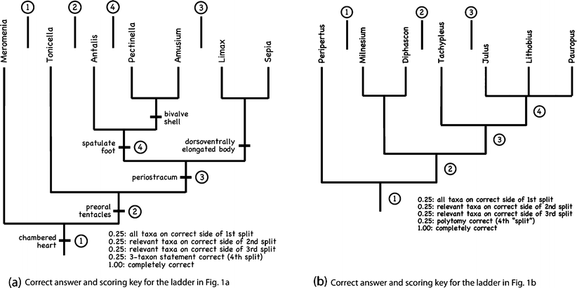 Characters Are Key: The Effect of Synapomorphies on Cladogram ...