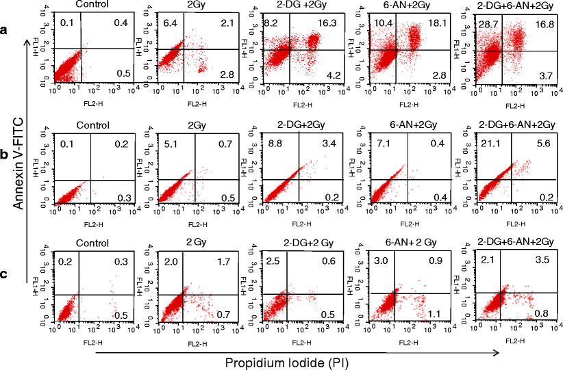 Figure 5 | A combination of 2-deoxy- d -glucose and 6-aminonicotinamide induces oxidative stress ...