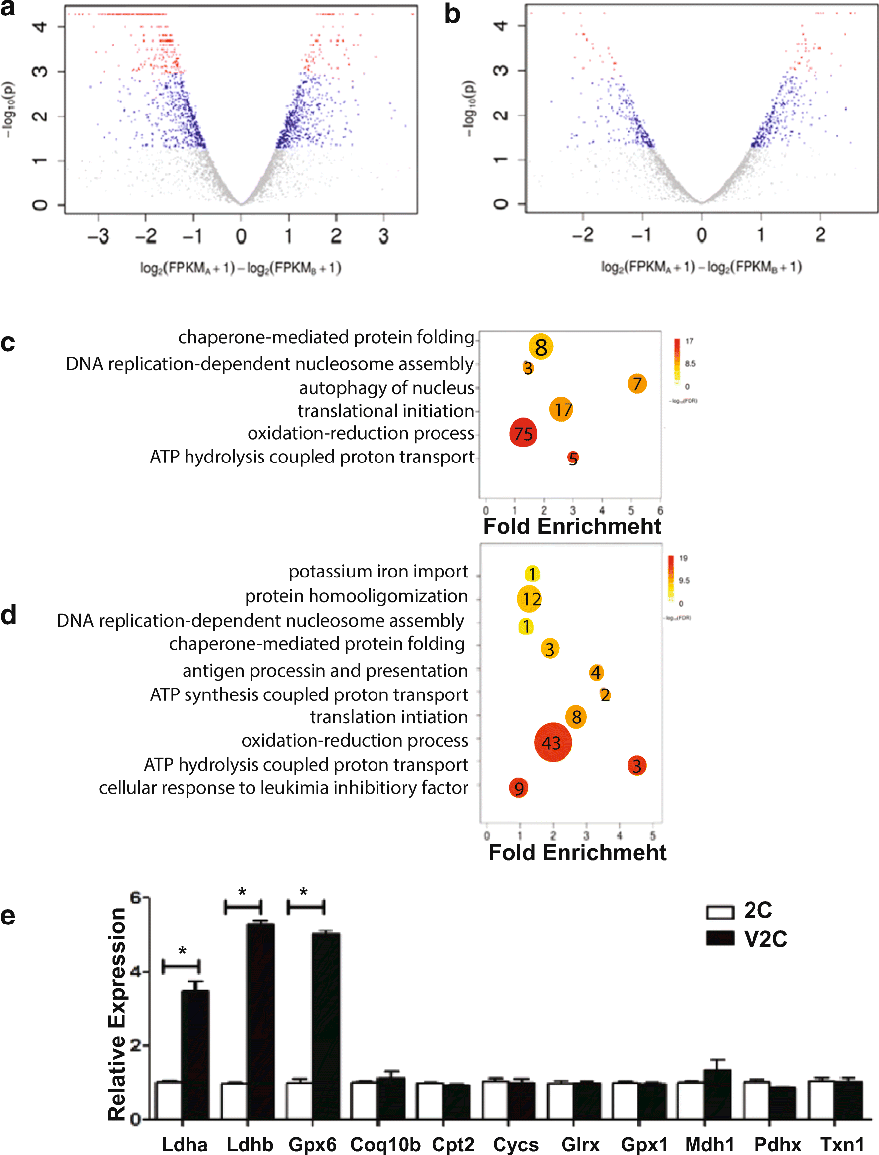 Download Figure 2 | Oocyte Vitrification Temporarily Turns on Oxidation-Reduction Process Genes in Mouse ...
