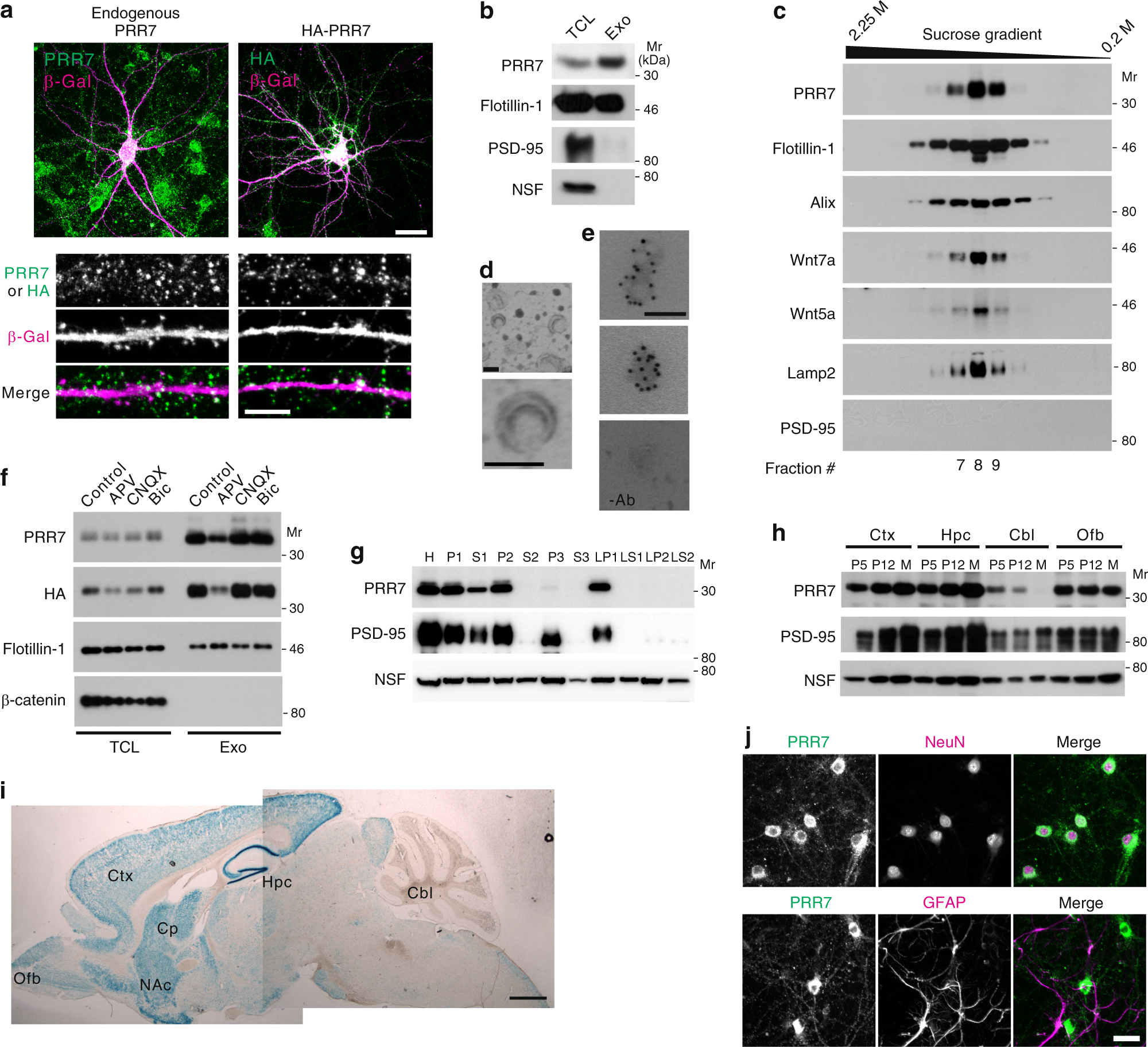 International Eagle 9800i Fuse Box Diagram - Wiring Diagram