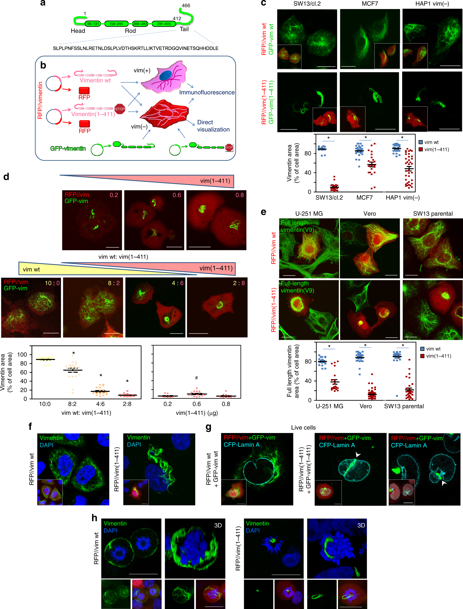 White Pages Canada 411 Reverse Lookup Bruin Blog