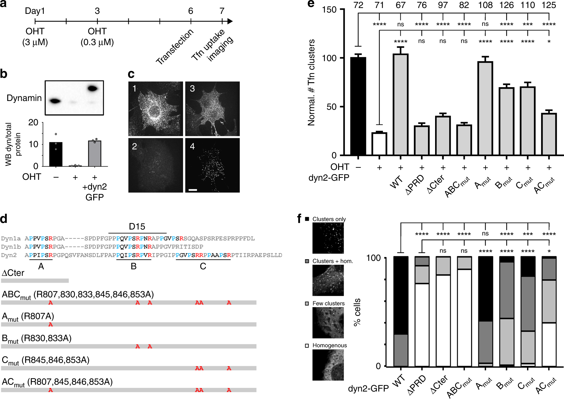 Kinetic Moped Wiring Diagram 2004 - Wiring Diagrams