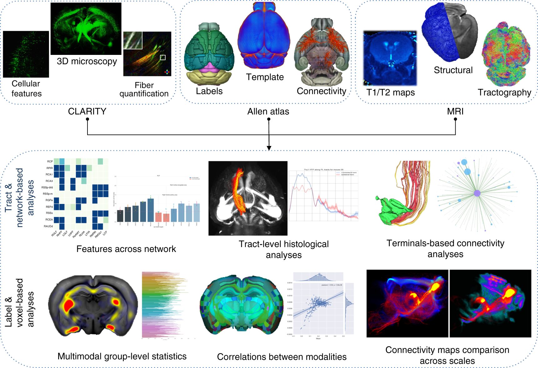 - Wiring Diagram Database
