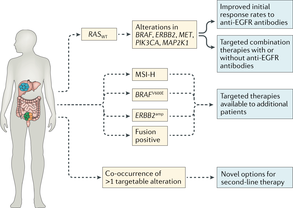 Biomarker on Flipboard Amazon, Biomarkers, News (South Africa)