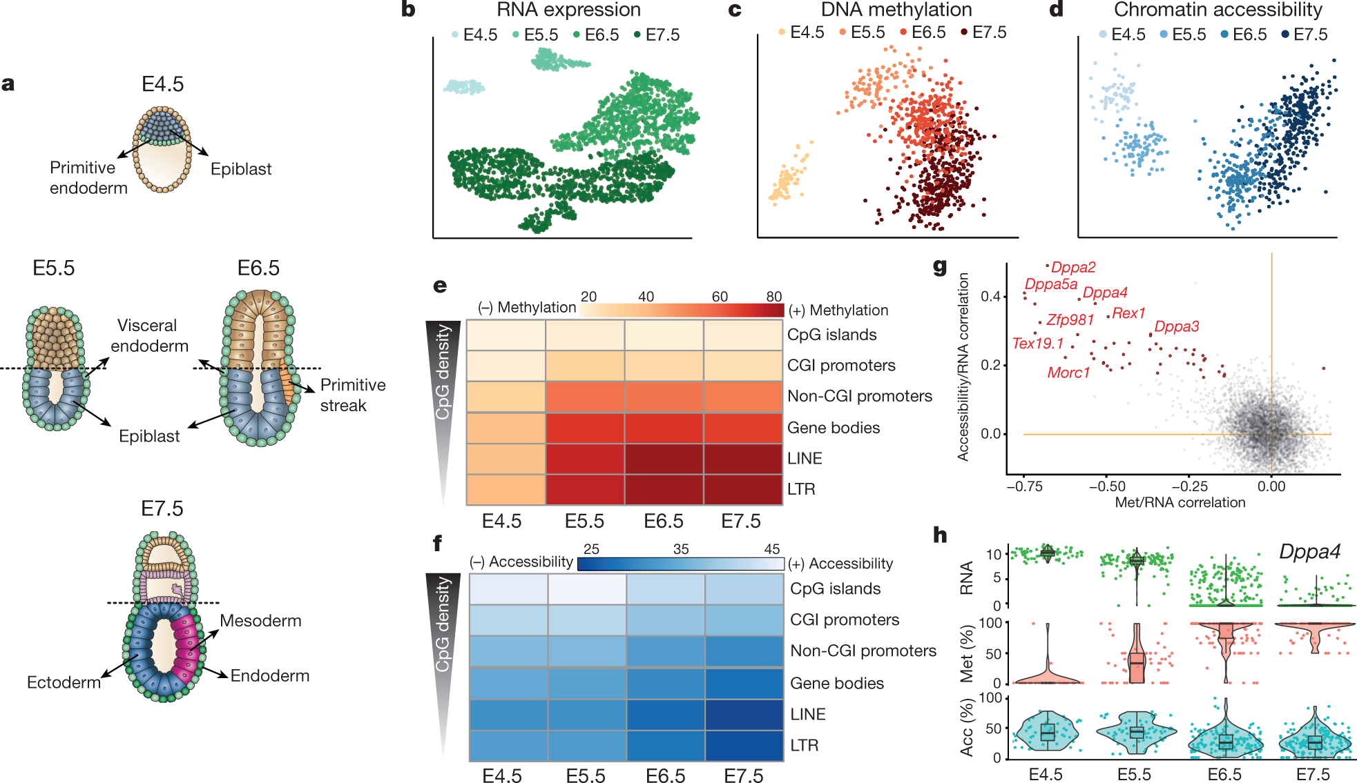Gene Expression News, Articles, Stories & Trends for Today