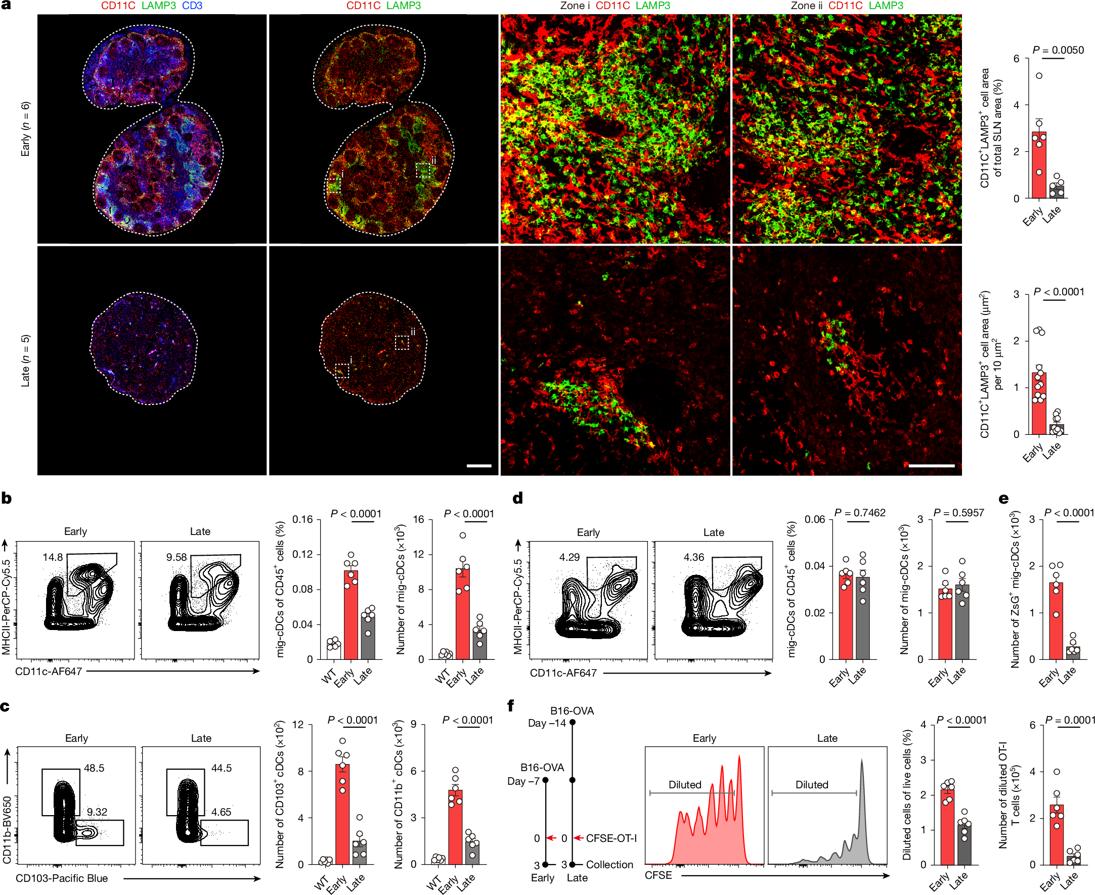Rescuing dendritic cell interstitial motility sustains antitumour immunity