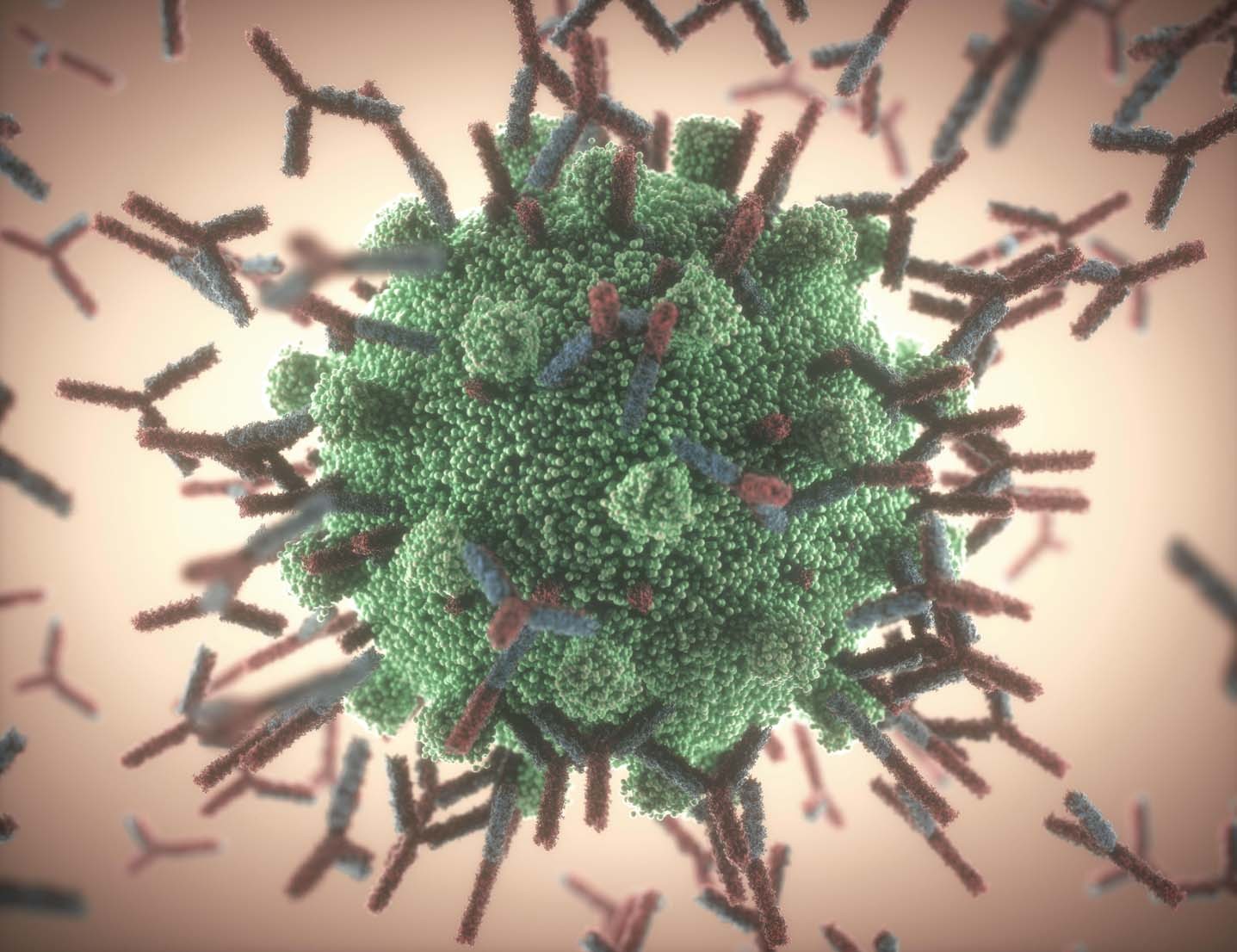 Sotrovimab Dosage / Emirates News Agency Uae Among First