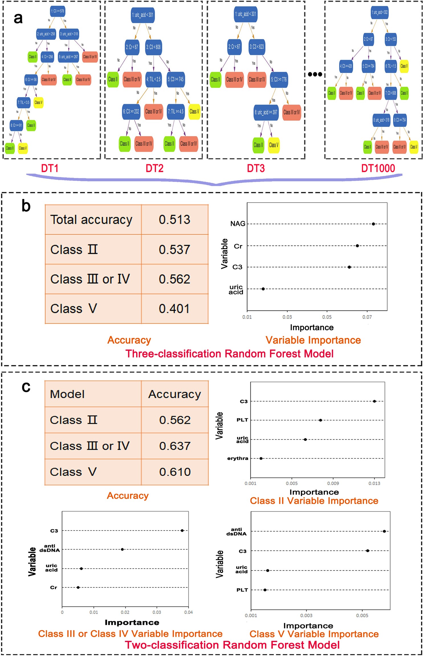 Lupus Nephritis And Weight Gain Blog Dandk