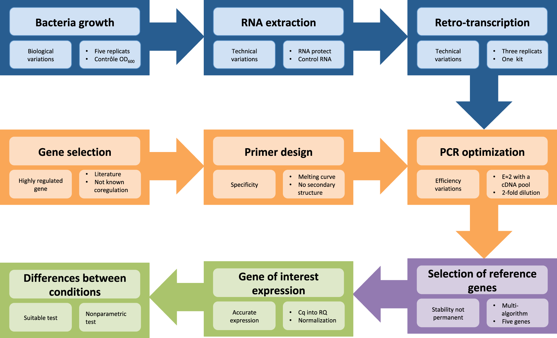 Diagram Yersinia Pestis Life Cycle - Aflam-Neeeak