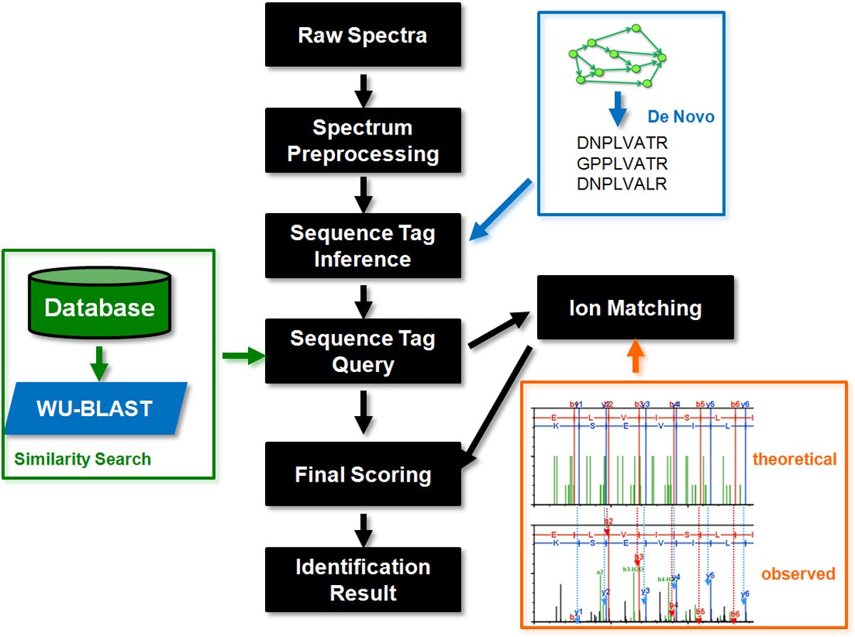 Mass spectrometrybased protein identification by integrating de novo