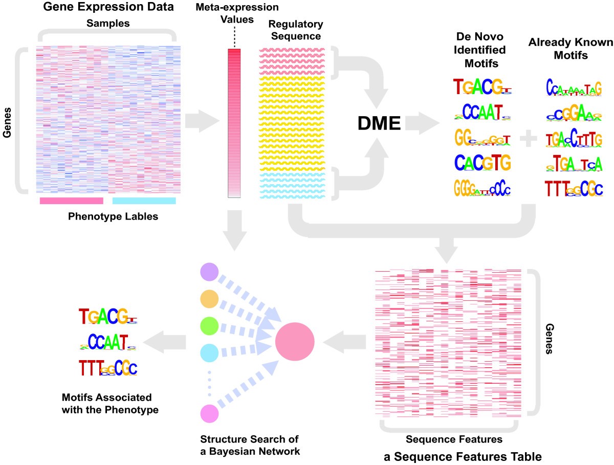 Dissertation oncology regulatory affairs